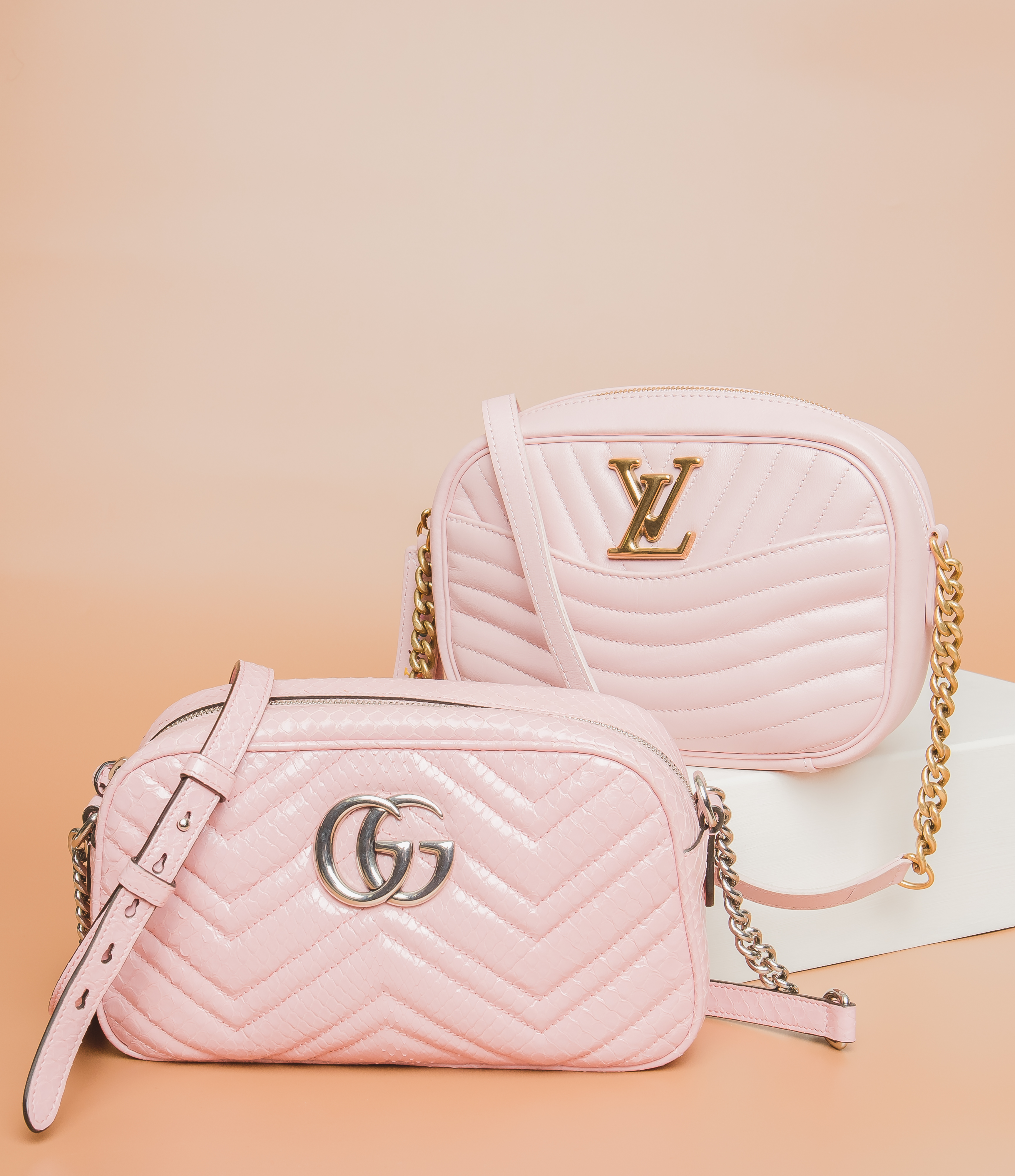 Gucci Marmont bag and LV Camera bag